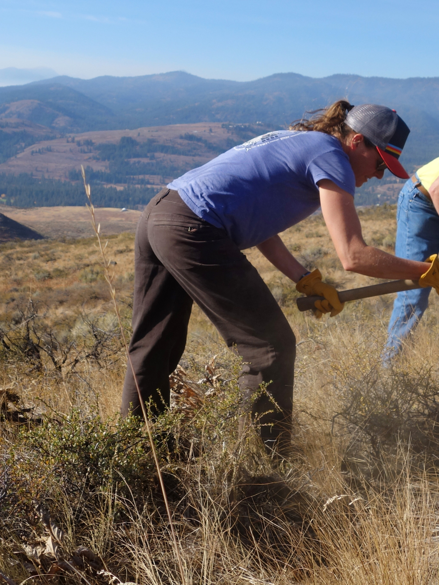 lewis-trailwork.jpg