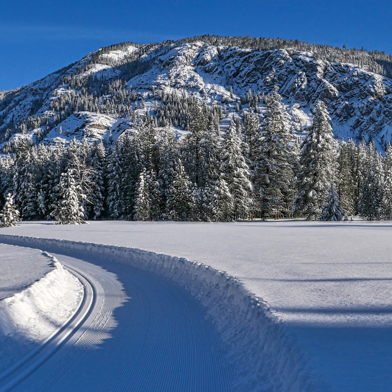 Freshly groomed. Photo: Gerald Smith